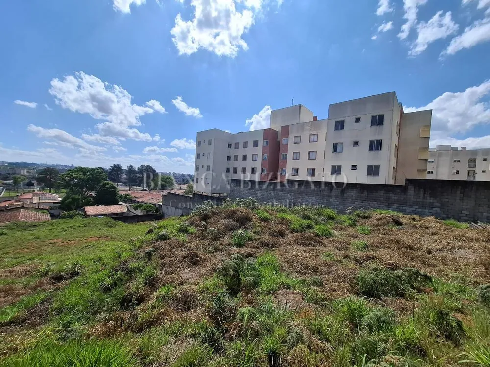 Terreno, 6000 m² - Foto 7
