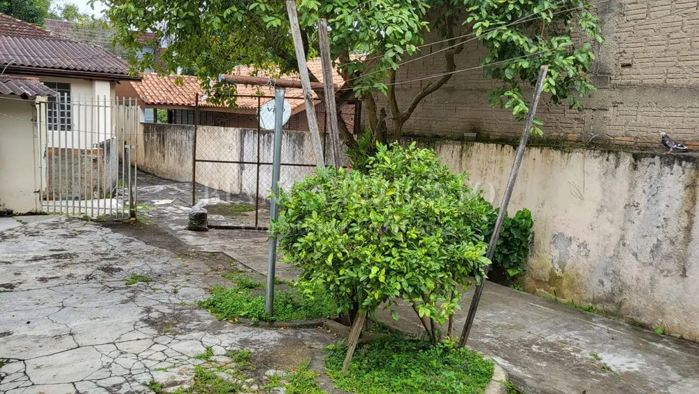 Terreno, 454 m² - Foto 7