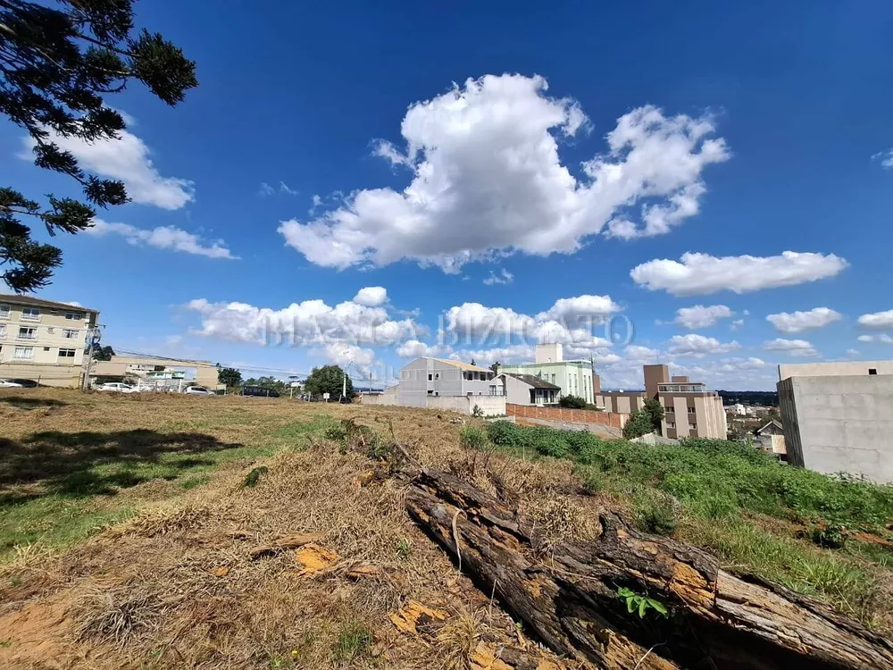 Terreno à venda, 3000m² - Foto 4