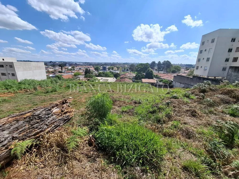 Terreno à venda, 3000m² - Foto 2