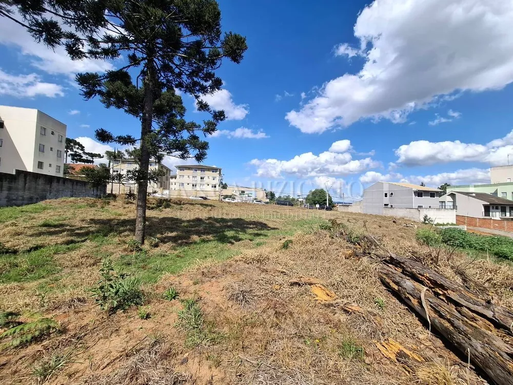 Terreno à venda, 3000m² - Foto 1