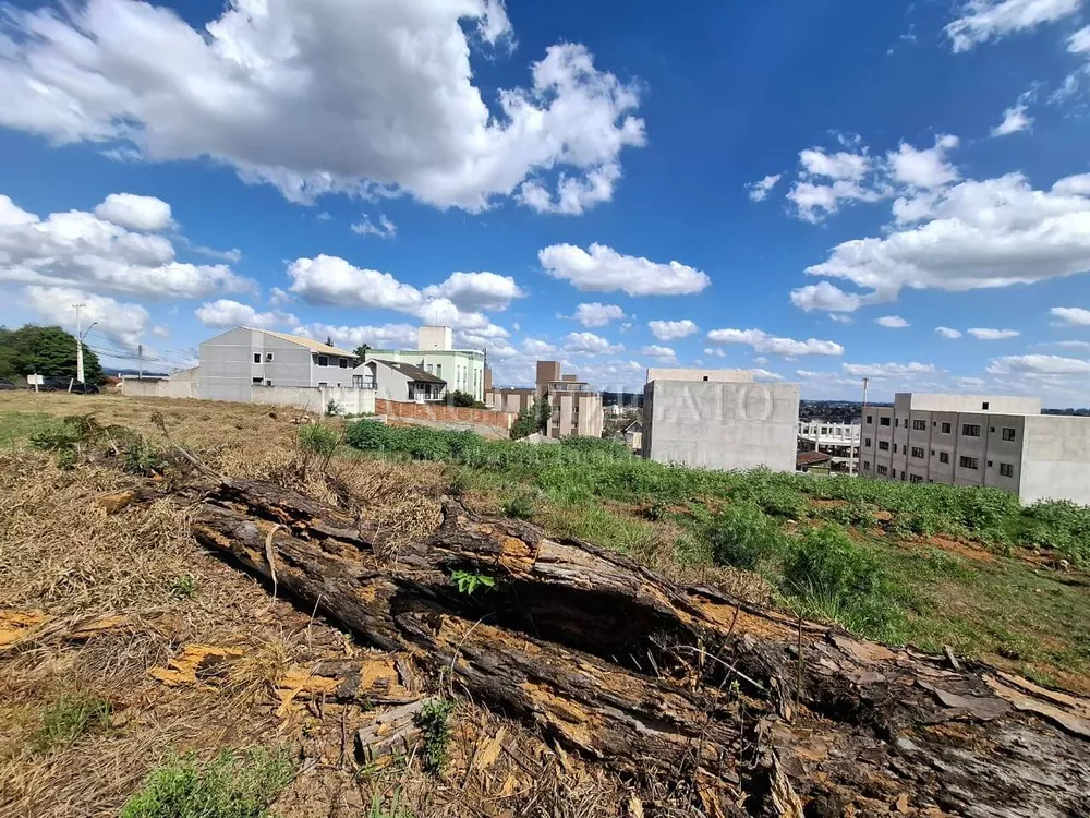 Terreno à venda, 3000m² - Foto 3