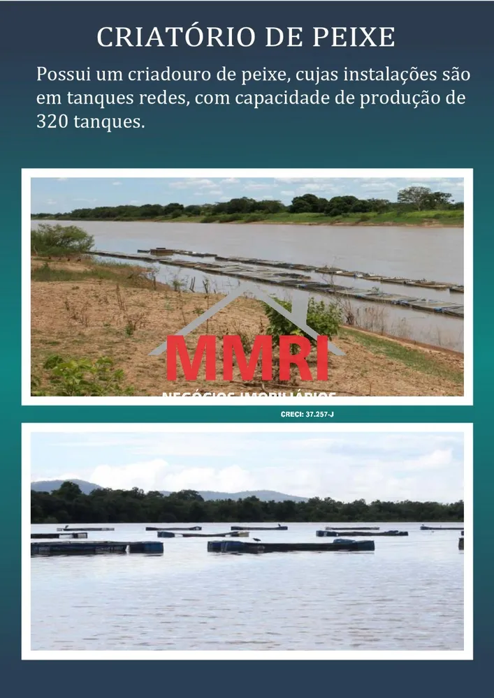 Fazenda, 2 hectares - Foto 8