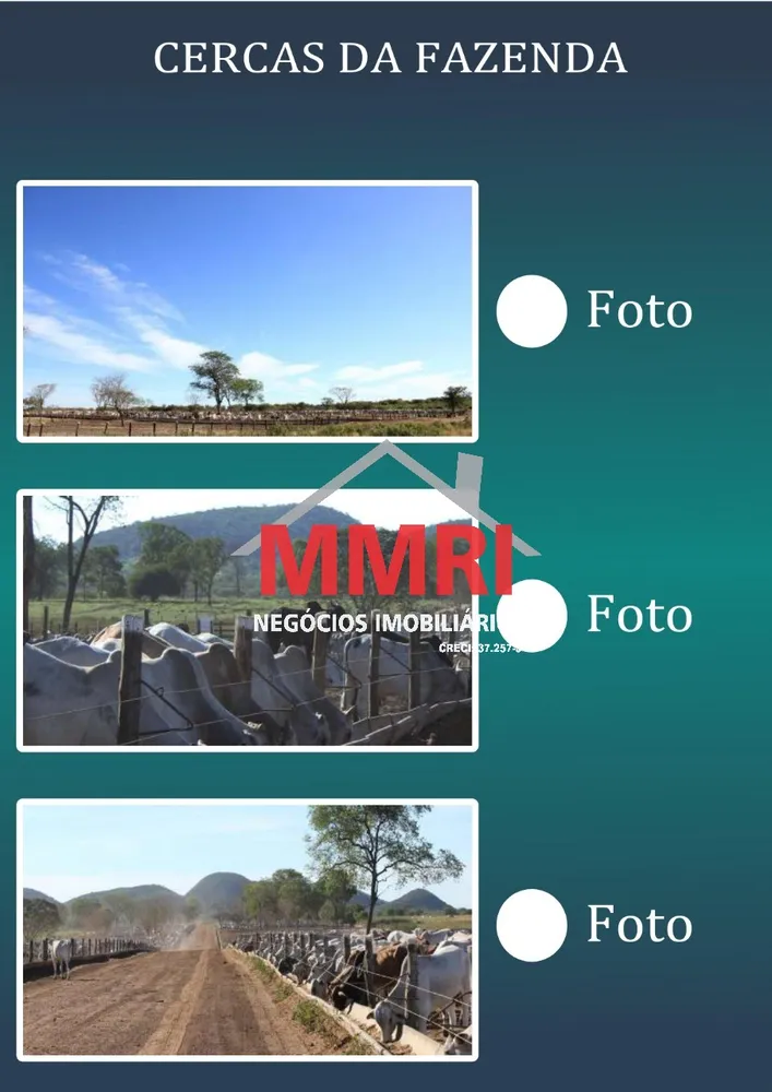 Fazenda, 2 hectares - Foto 4