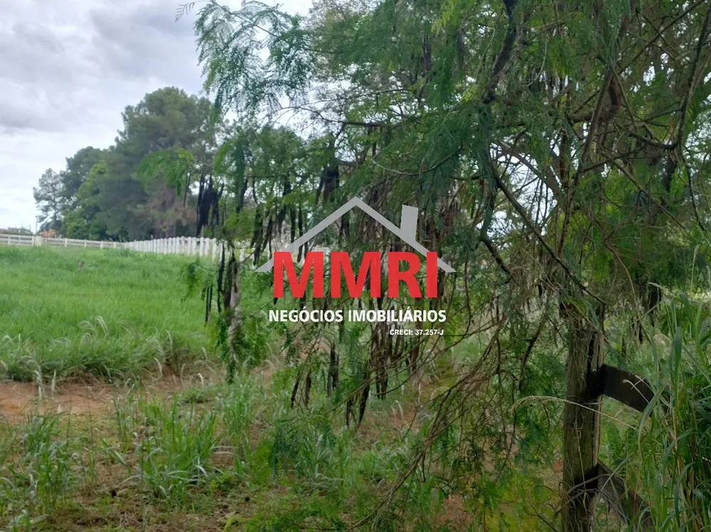 Sítio, 5 quartos, 4 hectares - Foto 7