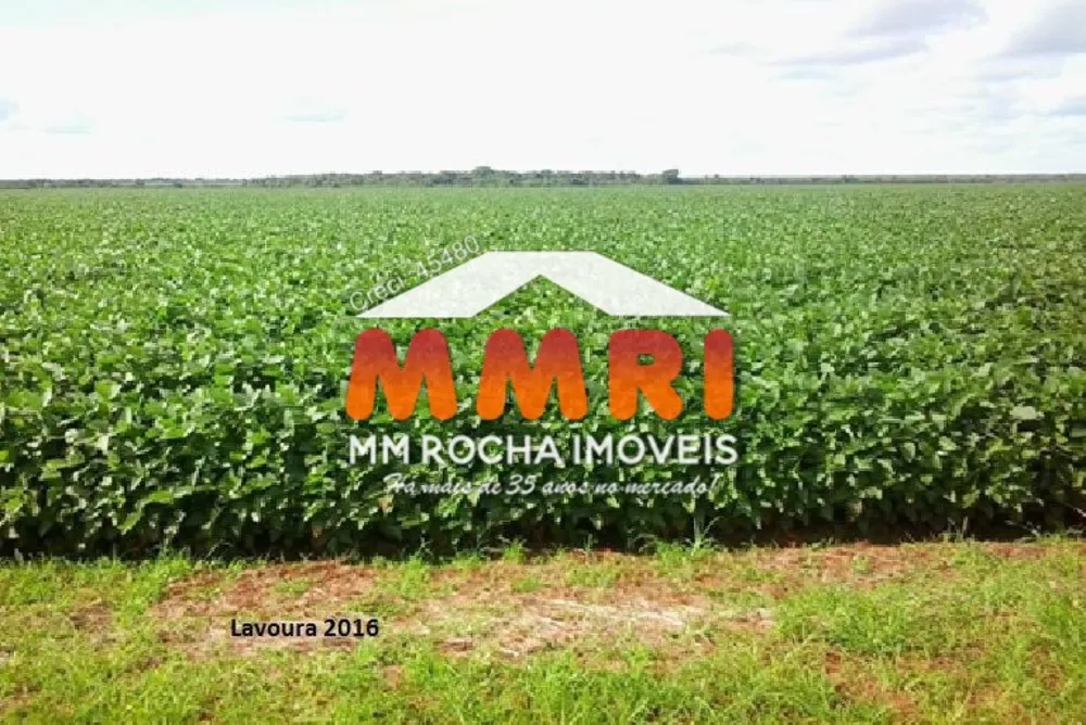 Fazenda, 3 hectares - Foto 2