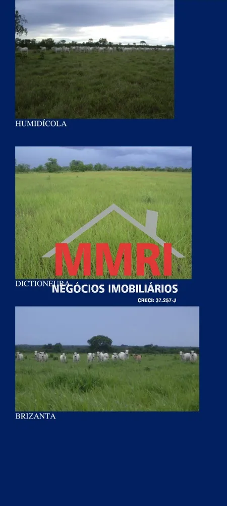 Fazenda, 8 hectares - Foto 11