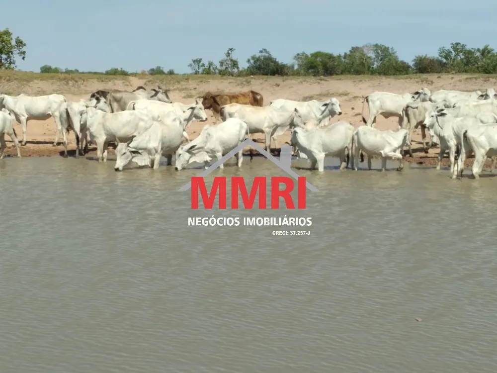 Fazenda, 8 hectares - Foto 1