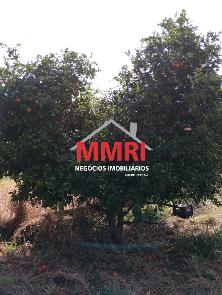 Terreno, 1000 m² - Foto 5