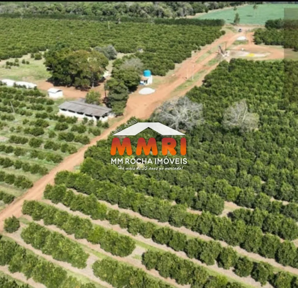 Fazenda, 170 m² - Foto 5