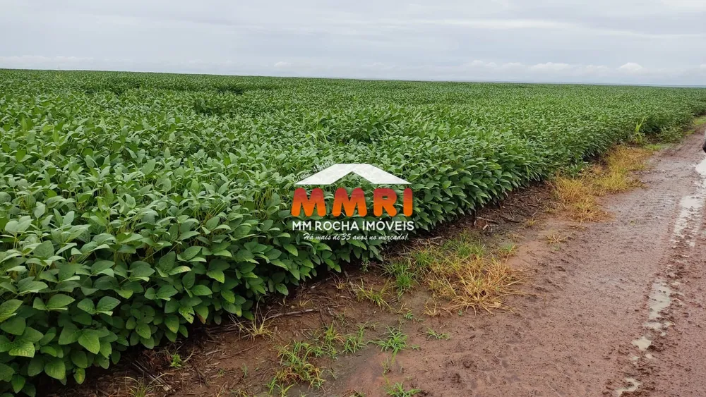 Fazenda, 4 hectares - Foto 1