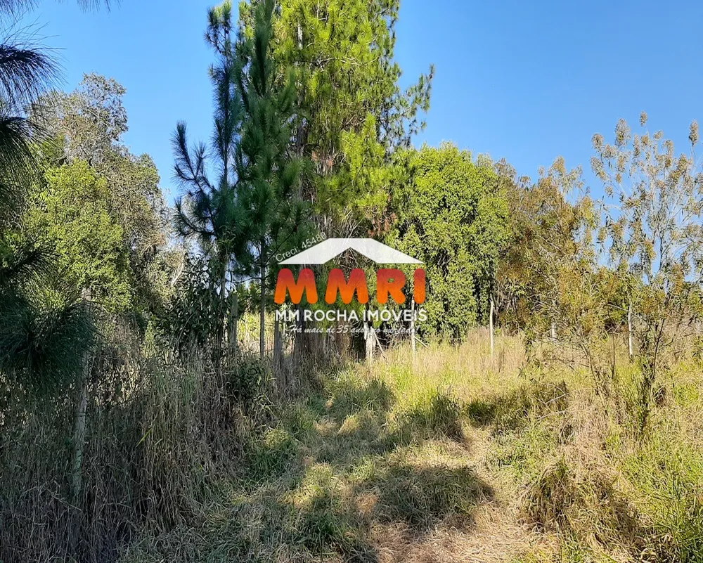 Sítio, 2 quartos, 7500 m² - Foto 4
