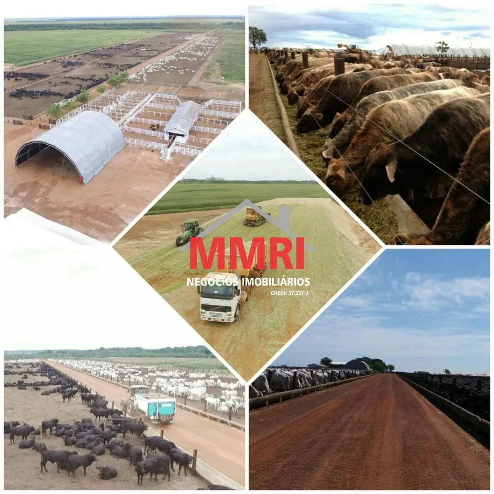 Fazenda, 3 hectares - Foto 3
