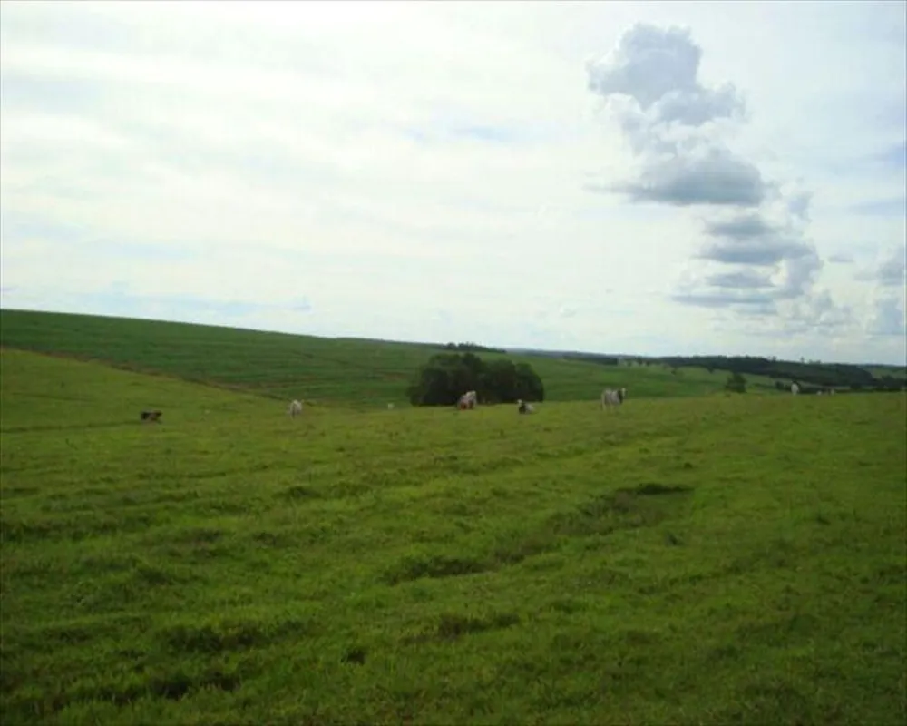 Fazenda, 530 m² - Foto 3