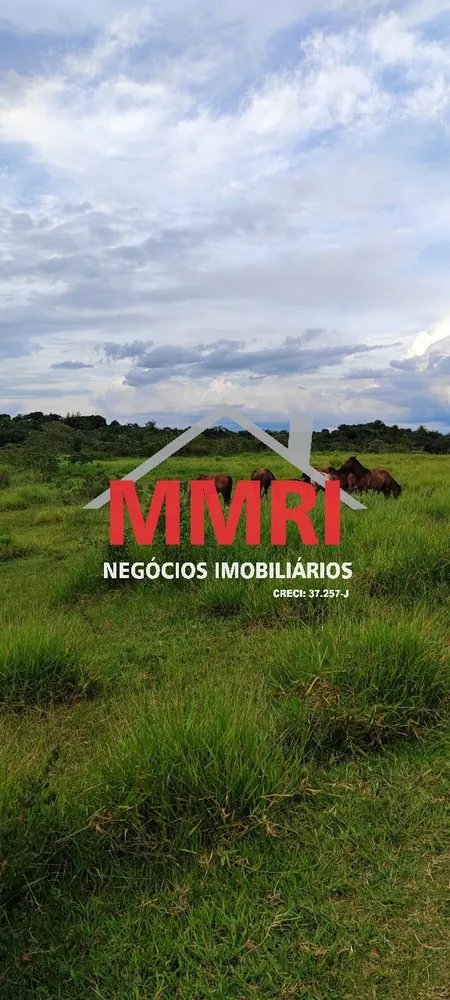 Sítio - Foto 6