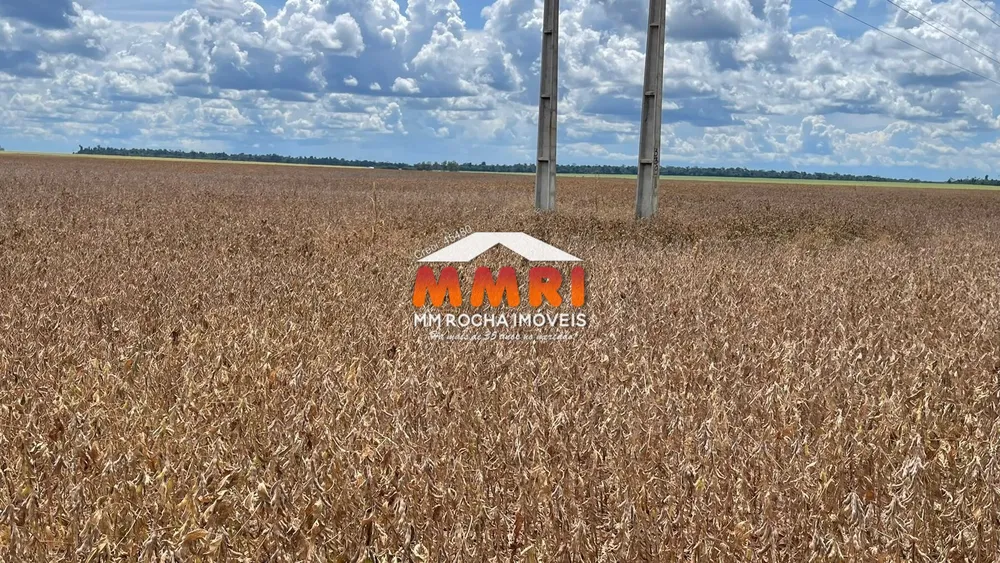 Fazenda, 7 hectares - Foto 8