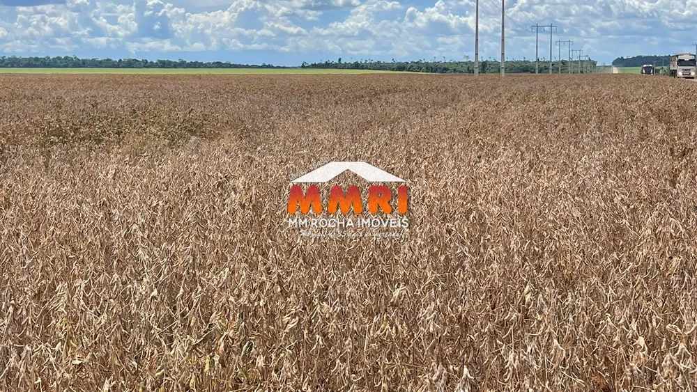 Fazenda, 7 hectares - Foto 7
