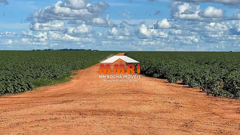 Fazenda, 7 hectares - Foto 3