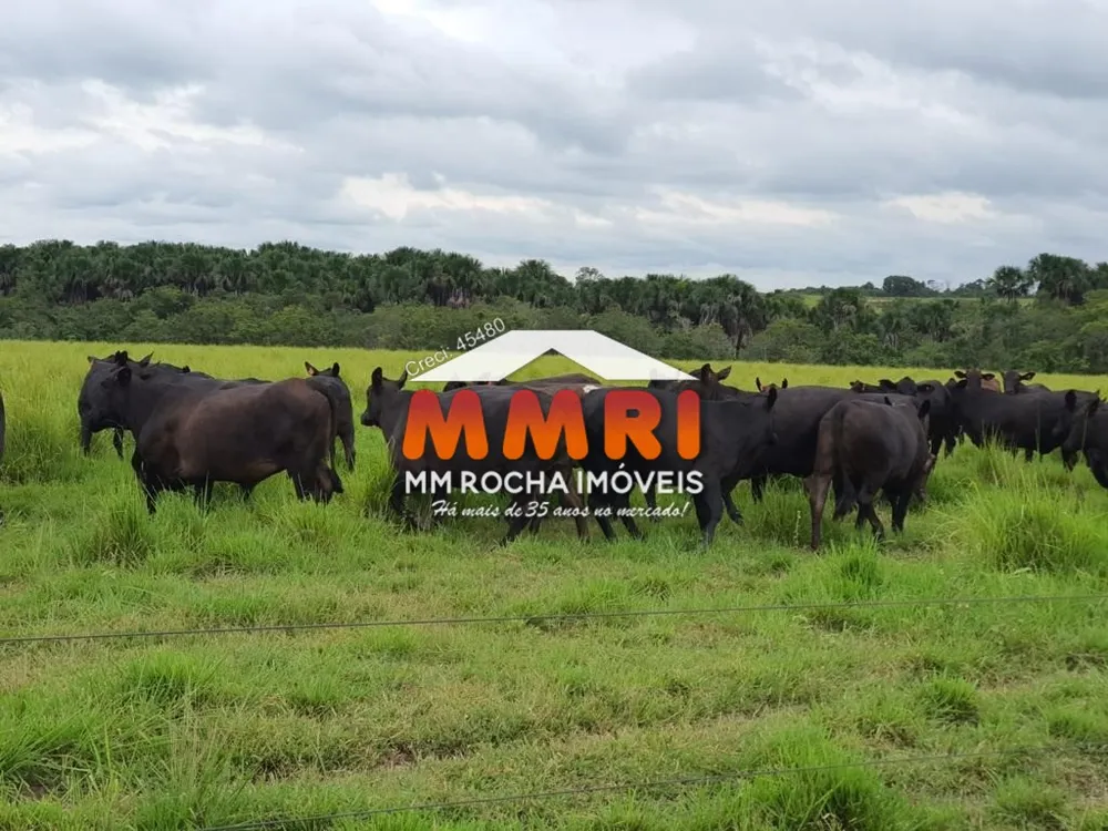 Fazenda, 2 hectares - Foto 1
