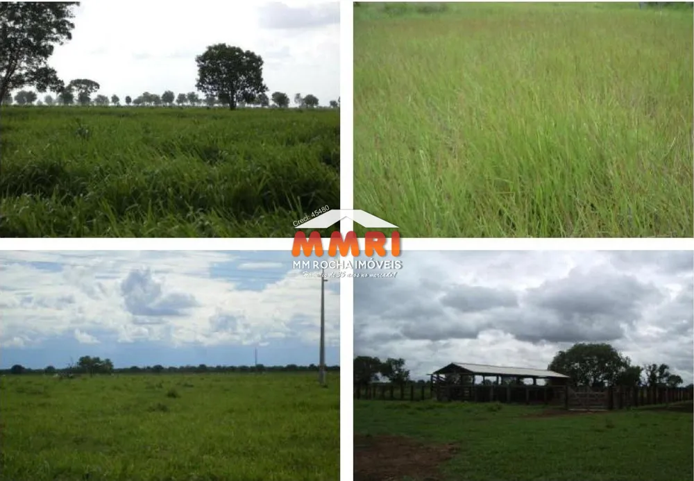 Fazenda, 8 hectares - Foto 6