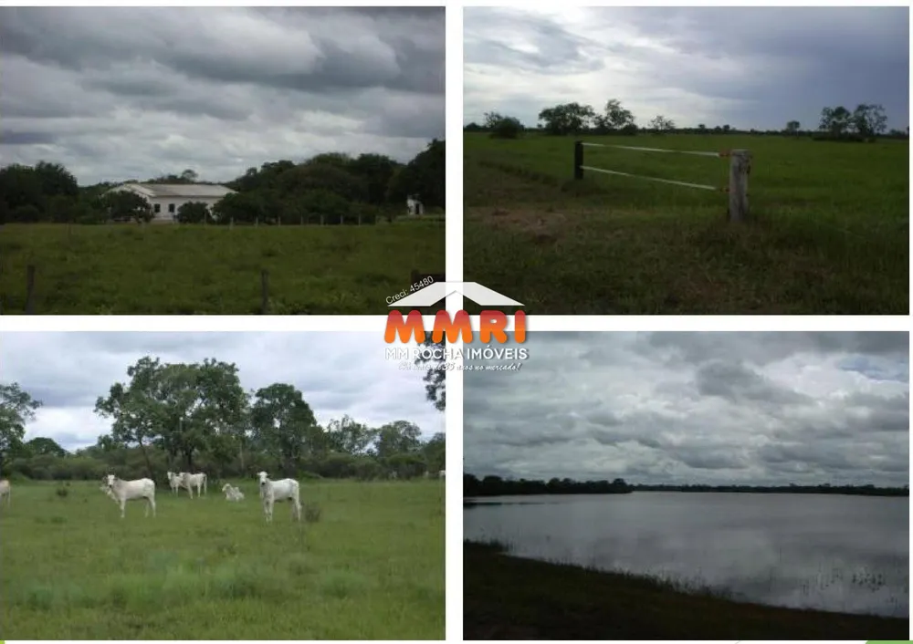 Fazenda, 8 hectares - Foto 7