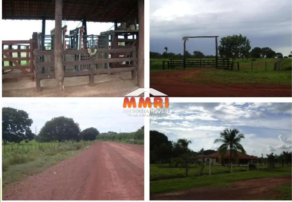 Fazenda, 8 hectares - Foto 5