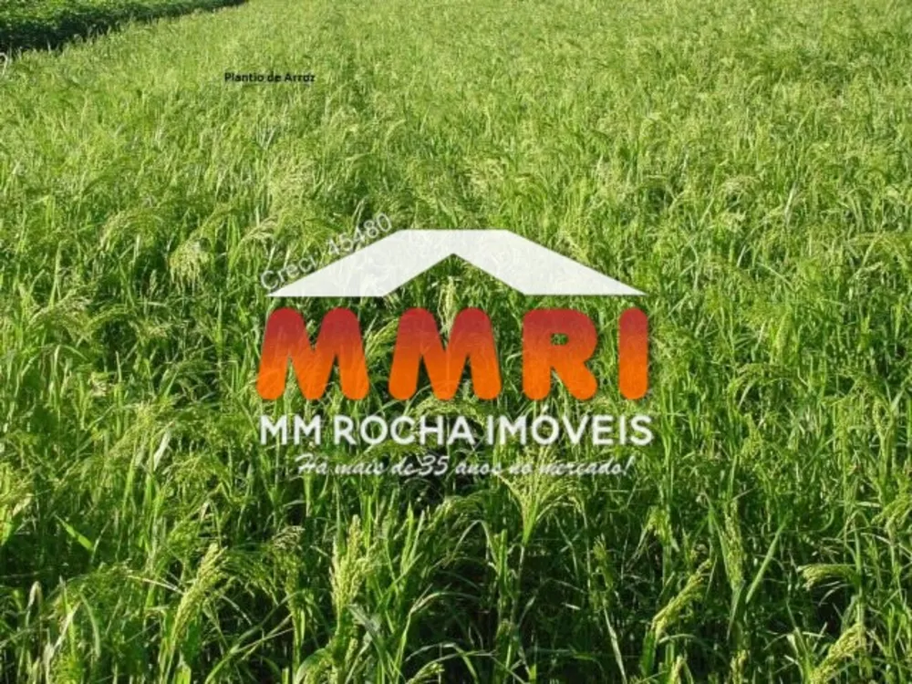 Fazenda, 3 hectares - Foto 4