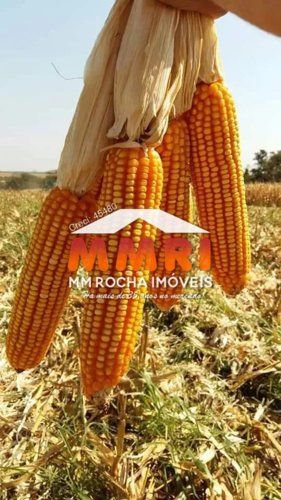 Fazenda, 4 hectares - Foto 1