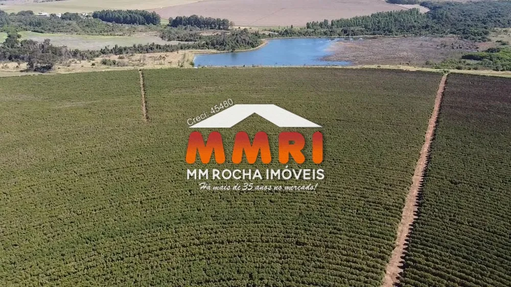 Fazenda, 1000 m² - Foto 6