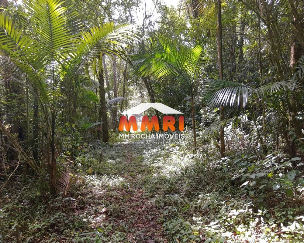Sítio, 3 quartos, 6 m² - Foto 5