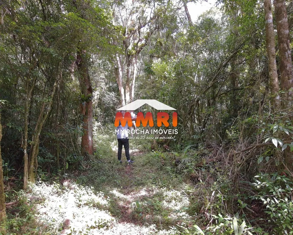 Sítio, 3 quartos, 6 m² - Foto 6