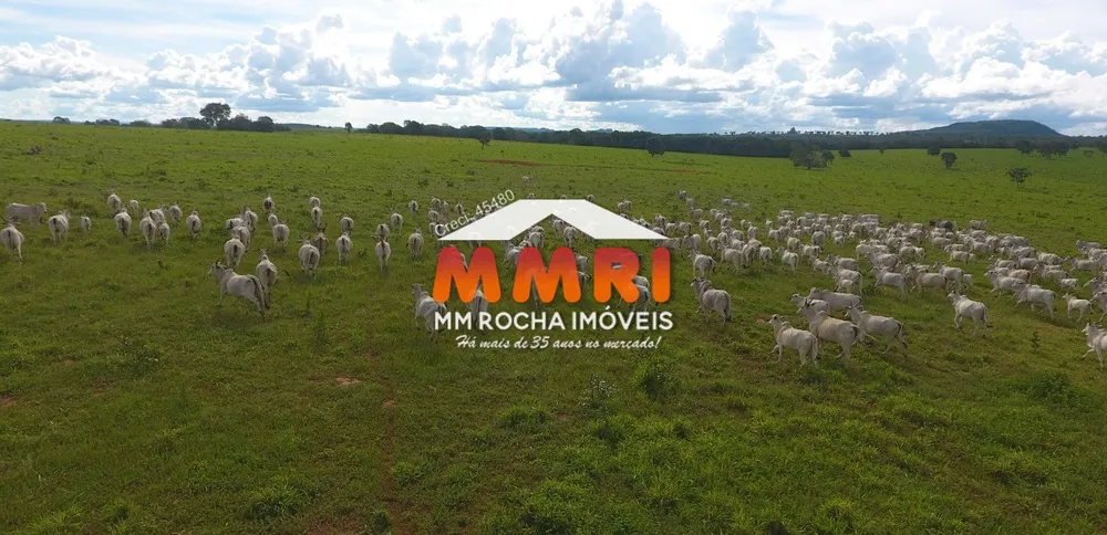 Fazenda, 20 m² - Foto 2