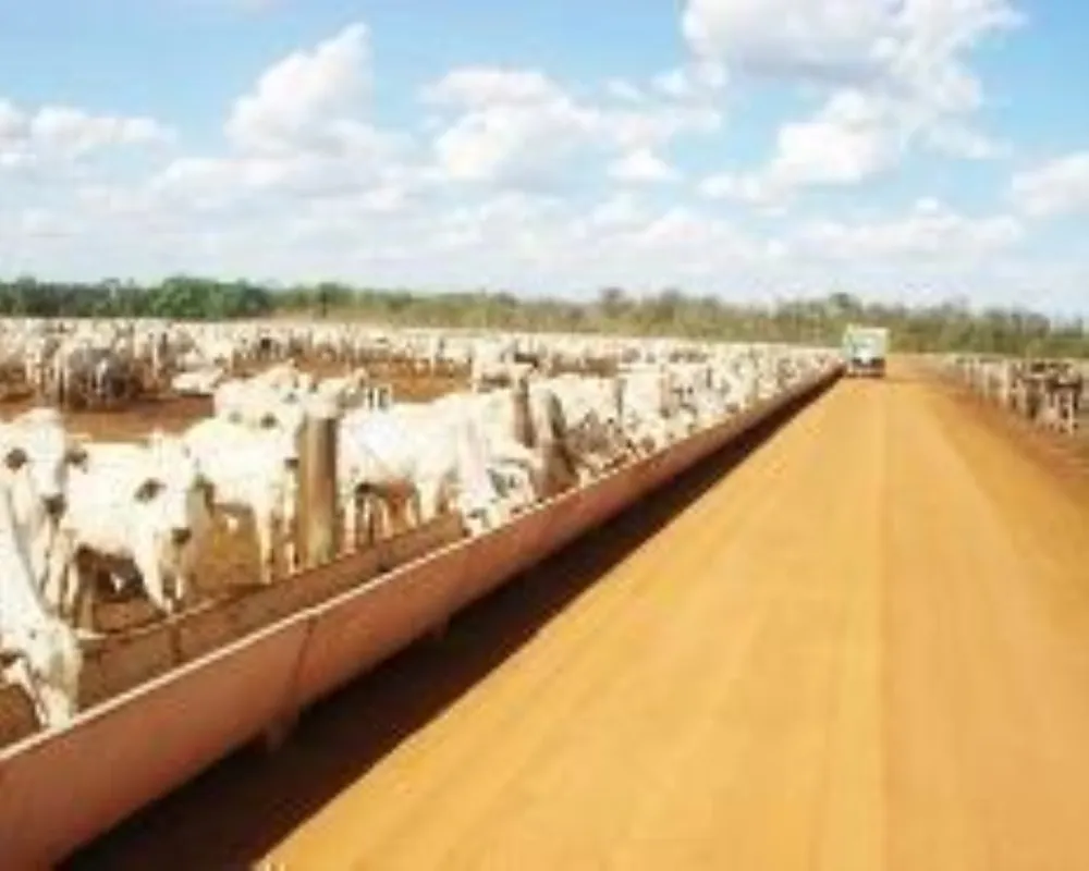 Fazenda, 1 hectares - Foto 4