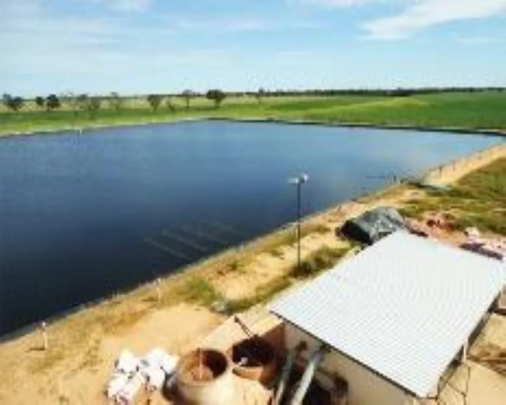 Fazenda, 1 hectares - Foto 3