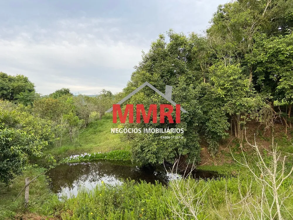Terreno, 2 hectares - Foto 3
