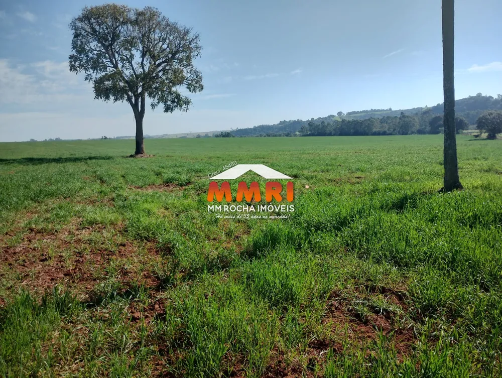 Sítio, 3 m² - Foto 4