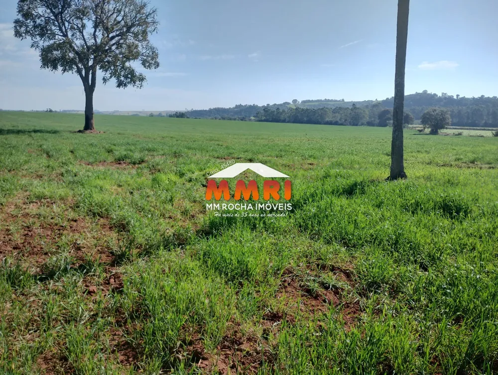Sítio, 3 m² - Foto 2