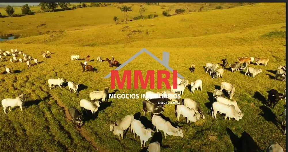 Fazenda - Foto 3