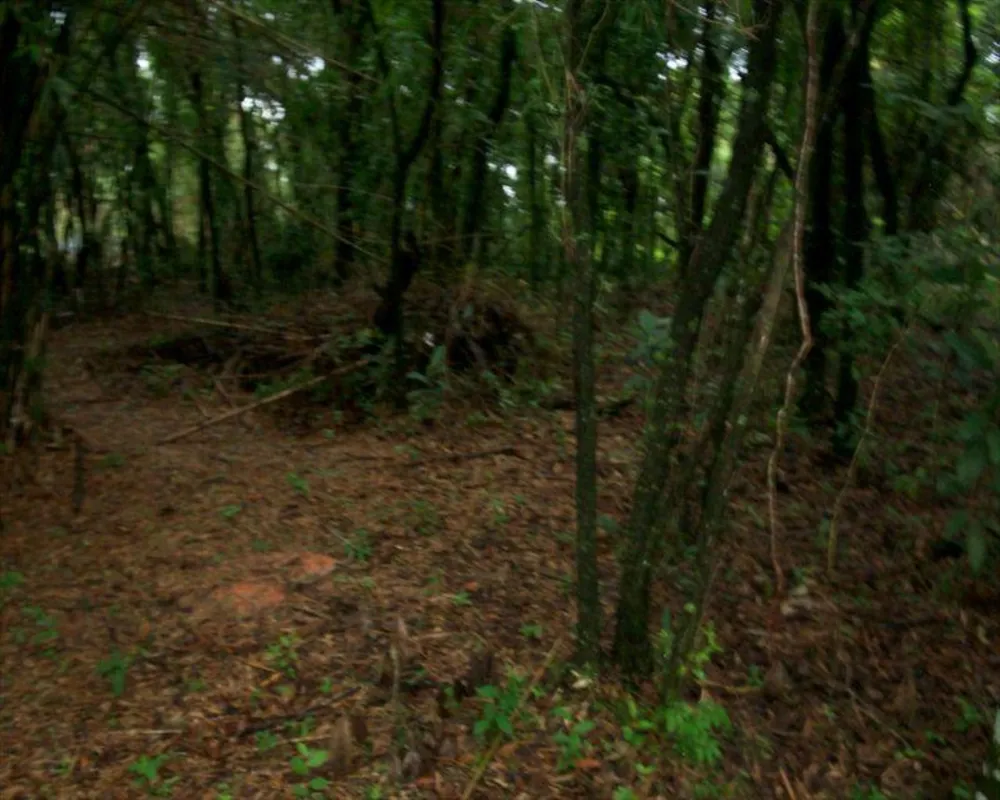 Terreno, 1 hectares - Foto 1