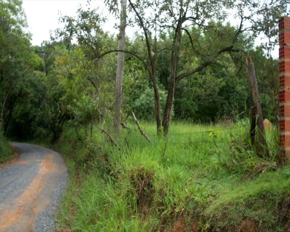 Terreno, 1 hectares - Foto 3