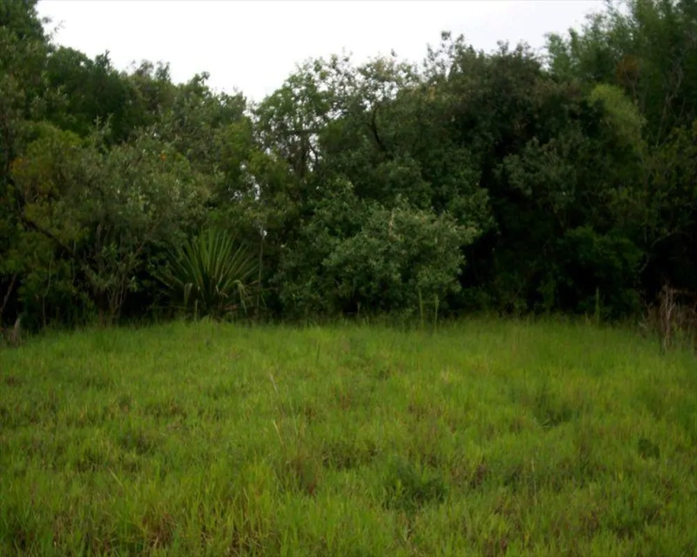 Terreno, 1 hectares - Foto 4