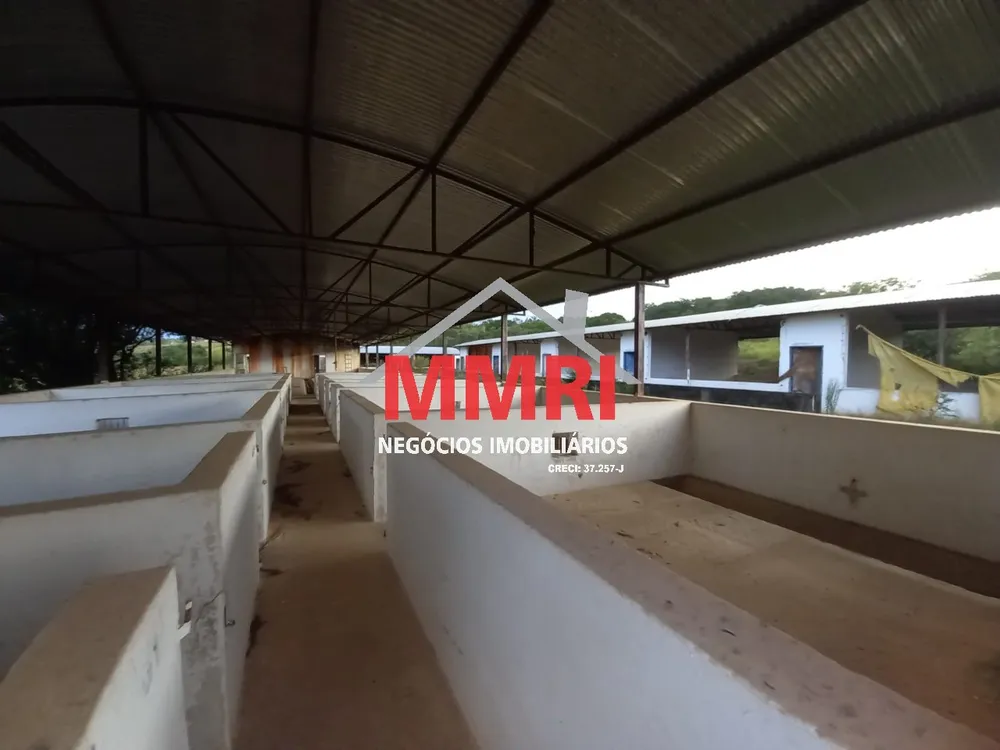 Fazenda - Foto 8