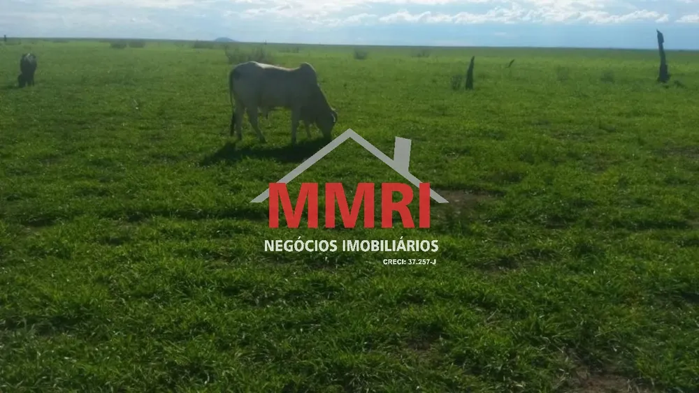 Fazenda - Foto 1