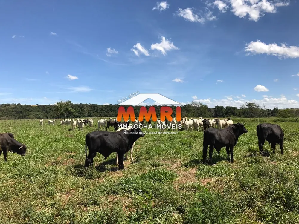 Fazenda, 882 m² - Foto 5