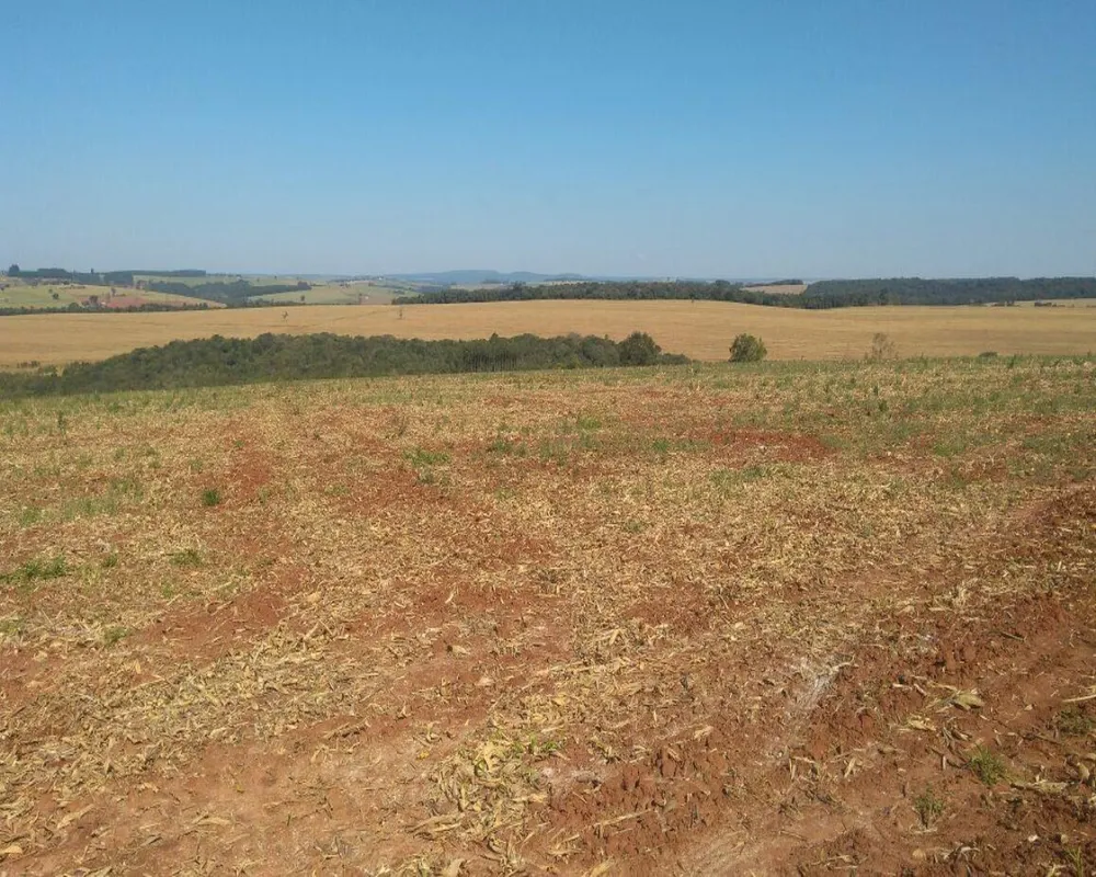 Fazenda, 623 m² - Foto 4
