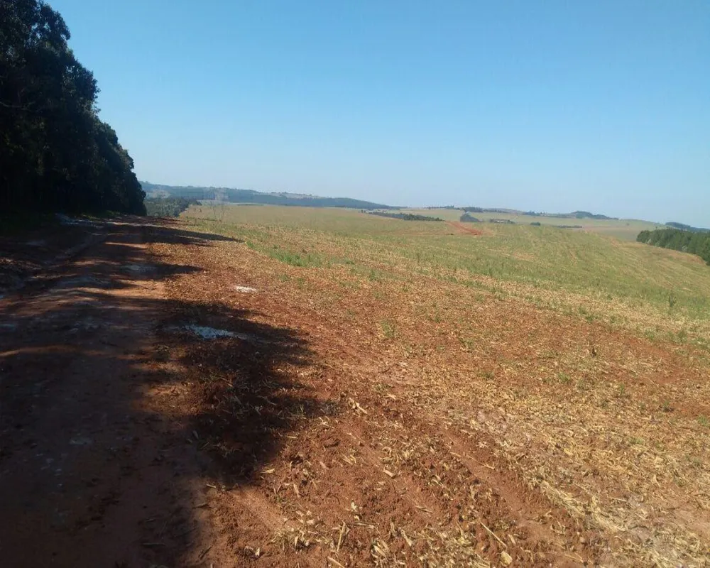 Fazenda, 623 m² - Foto 3
