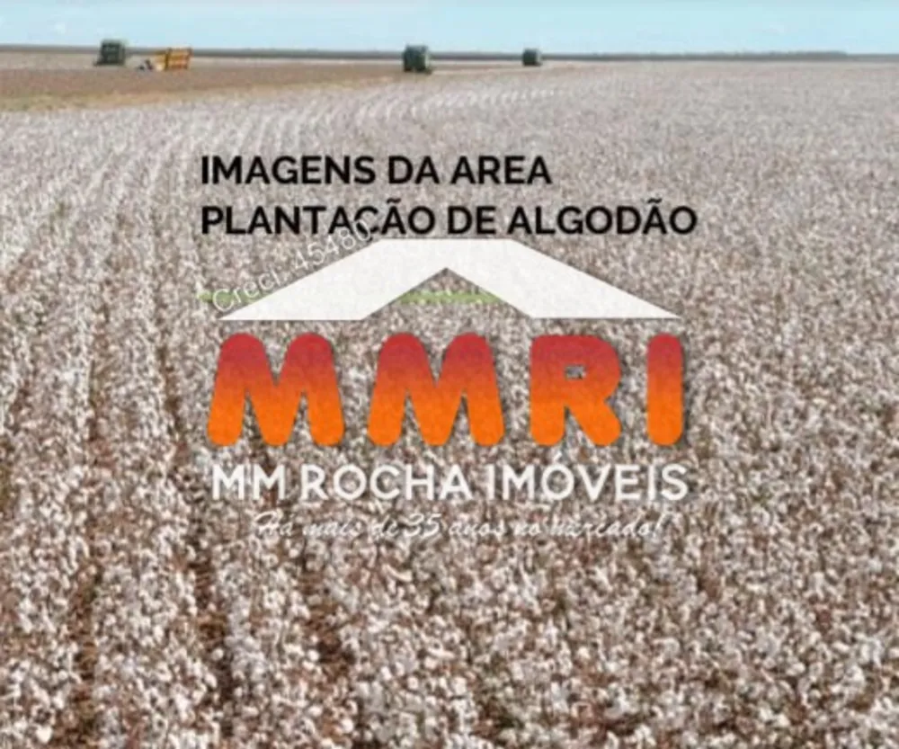 Fazenda, 31 hectares - Foto 4