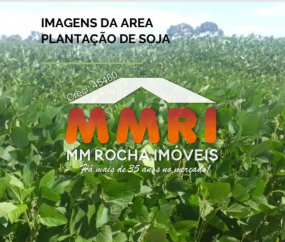 Fazenda, 31 hectares - Foto 7