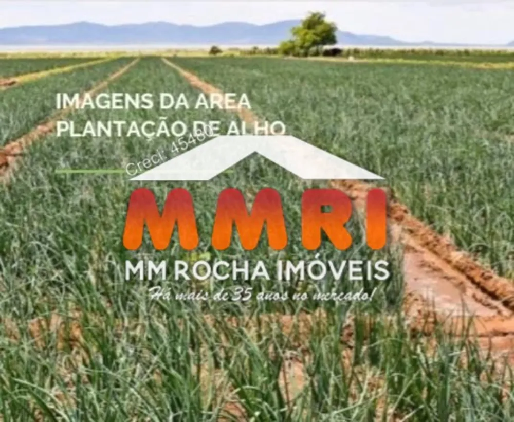 Fazenda, 31 hectares - Foto 6