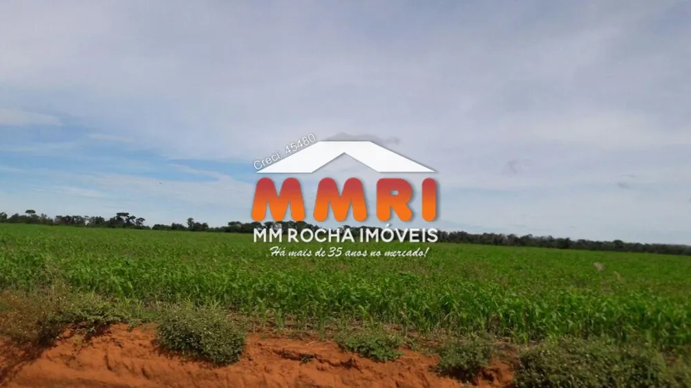 Fazenda, 31 hectares - Foto 1